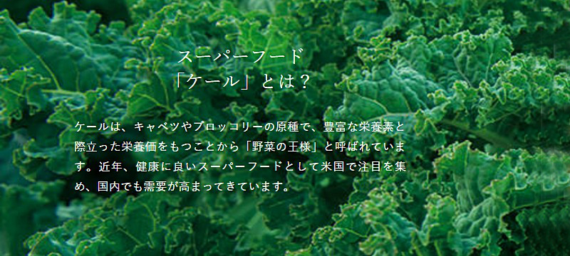 Wpv~AP[{TCg